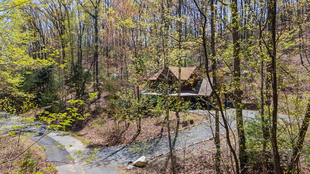 455 Shepherds Walk Morganton, GA 30560 - Photo 36 of 46