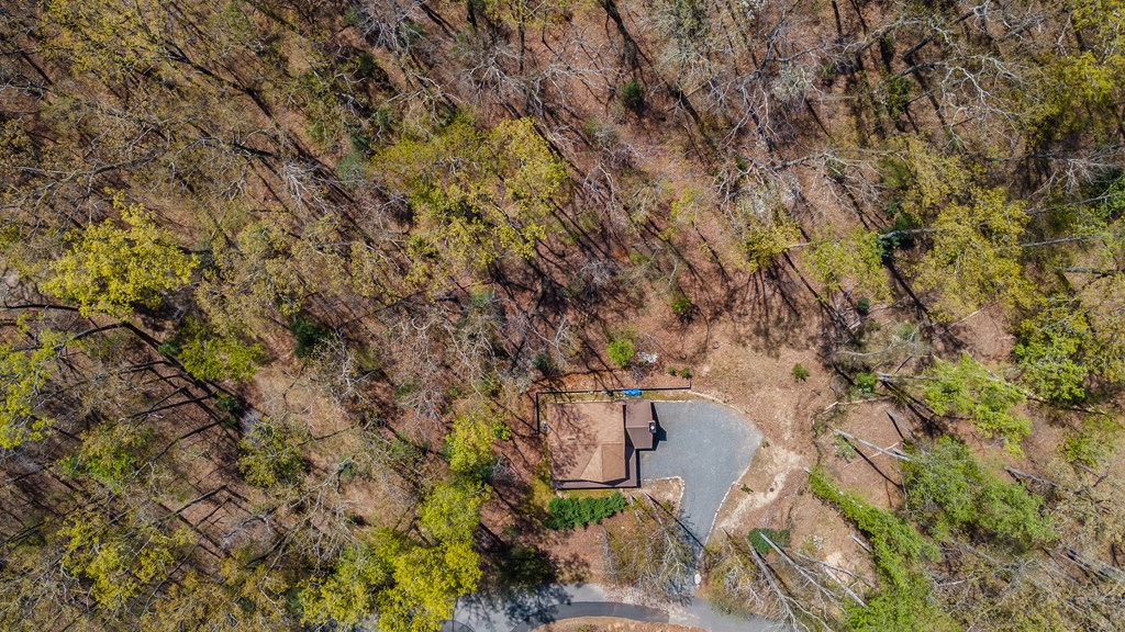 455 Shepherds Walk Morganton, GA 30560 - Photo 38 of 46