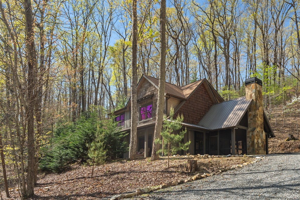 455 Shepherds Walk Morganton, GA 30560 - Photo 42 of 46
