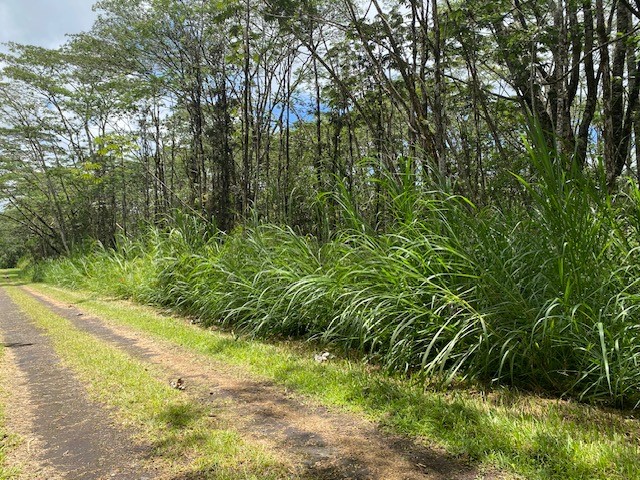 14-3525 Lot 228 Pikake Road Pahoa, HI 96778 - Photo 11 of 11