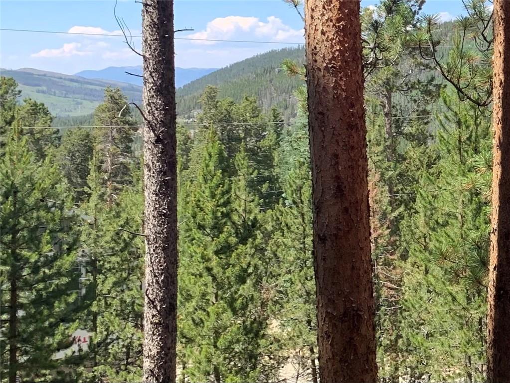 43 Moonstone Road, Unit COUNTY Breckenridge, CO 80424 - Photo 22 of 24 Gallery Image 22