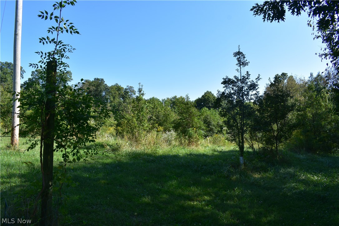 3545 North Firestone Road Wooster, OH 44691 - Photo 20 of 21 Gallery Image 20
