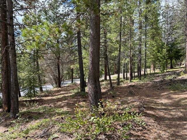 43 Clear Spring Way, Unit 43 Crescent Lake, OR 97733 - Photo 3 of 6 IMG_5472