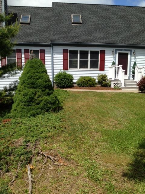 45 Wintergreen Road Mashpee, MA 02649 - Photo 5 of 20 a front view of house with yard and green space