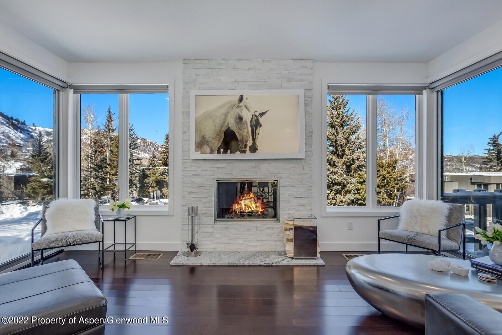 100 Meadow Ranch Road Snowmass Village, CO 81615 - Photo 1 of 30 02_100_Meadow_Ranch
