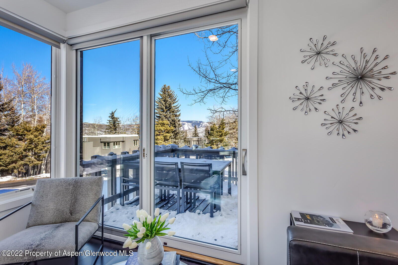 100 Meadow Ranch Road Snowmass Village, CO 81615 - Photo 5 of 30 07_100_Meadow_Ranch_Road_Snowmass_Villag