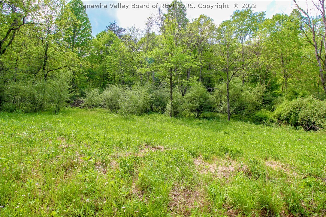 0 Arthur Road Liberty, WV 25124 - Photo 3 of 15 Gallery Image 3