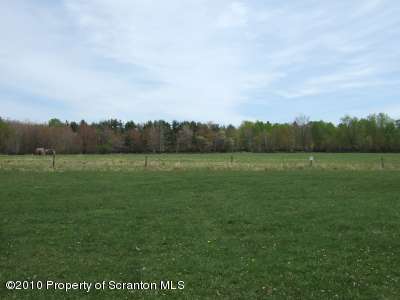 2703 Boulder Road Lake Ariel, PA 18436 - Photo 25 of 26 a view of a field with grass and trees