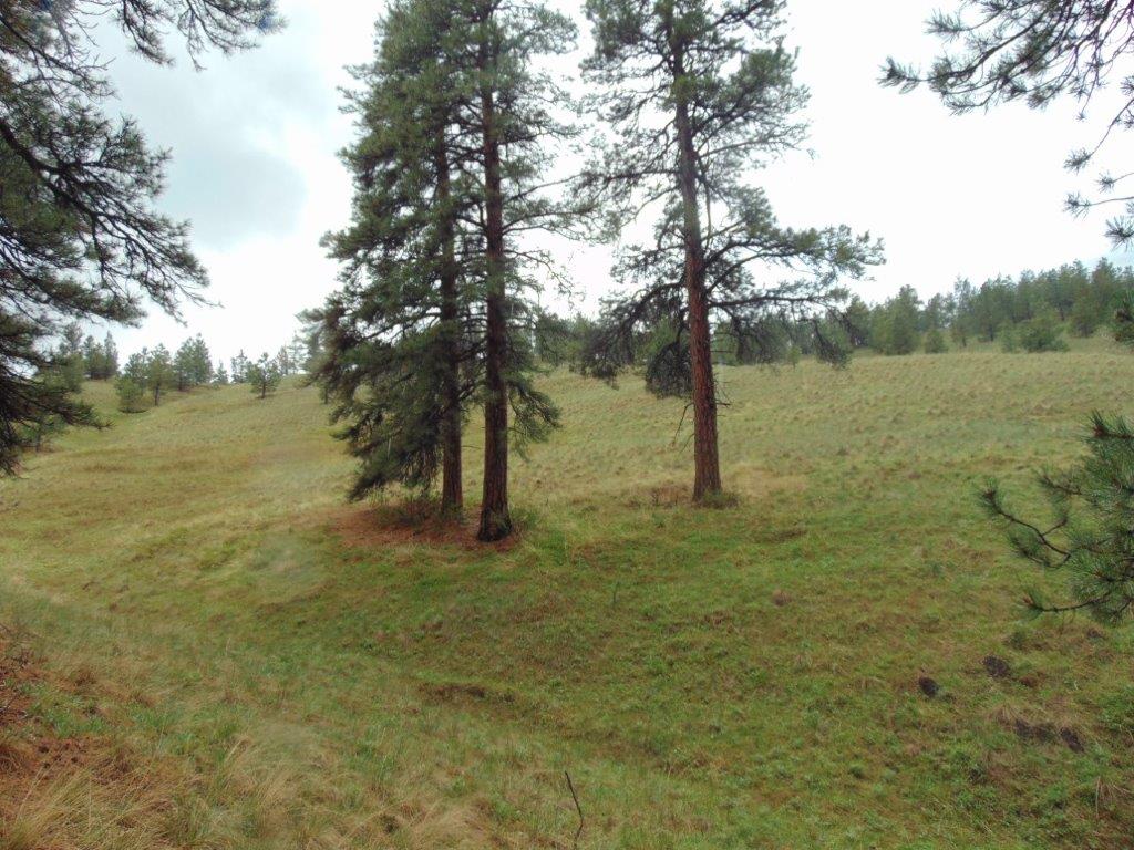 Tbd Shady Spring Lane Cascade, MT 59421 - Photo 3 of 78 Gallery Image 3