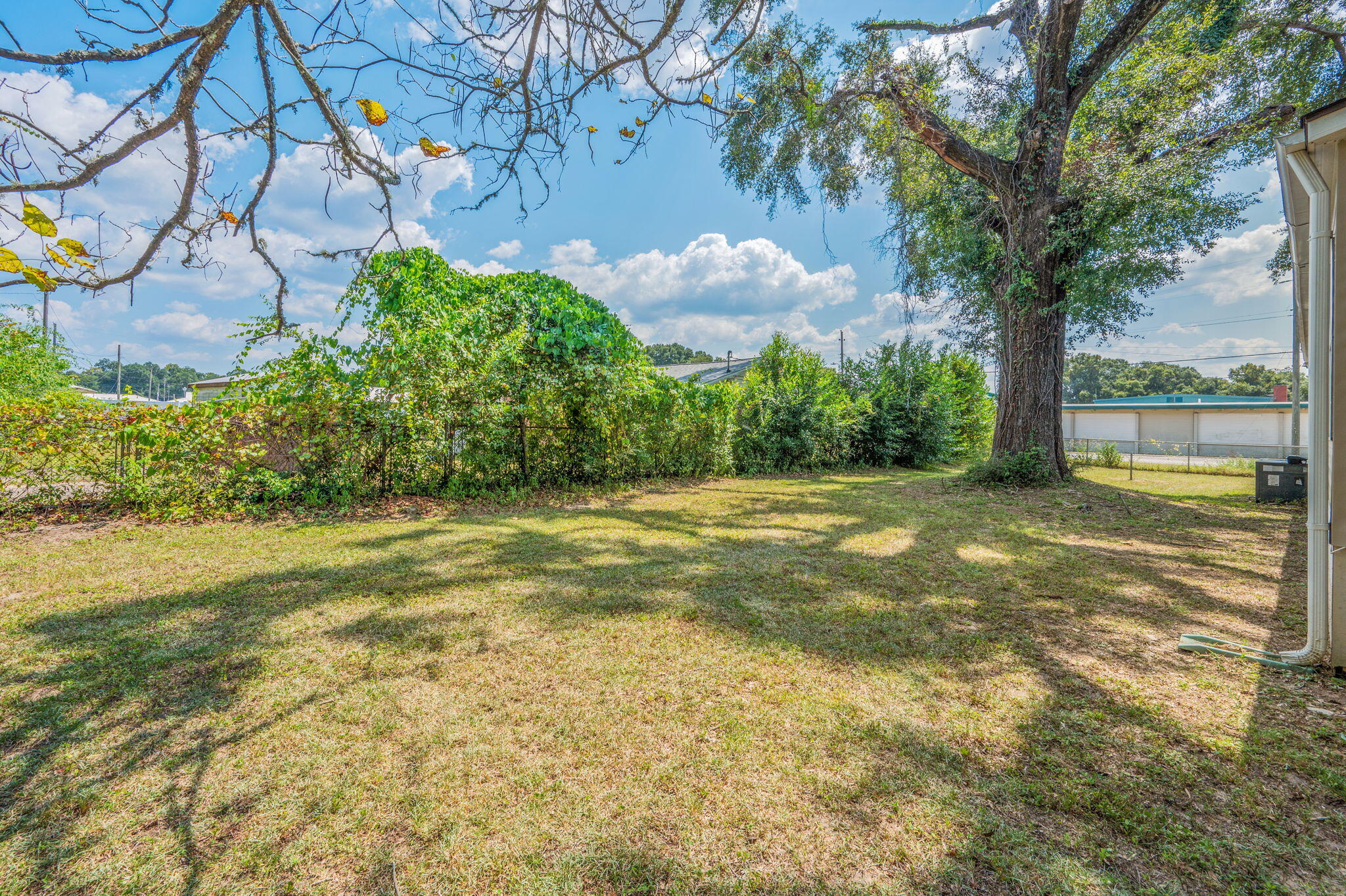 189 Benjamin Street Crestview, FL 32536 - Photo 36 of 40 a view of a yard with a tree