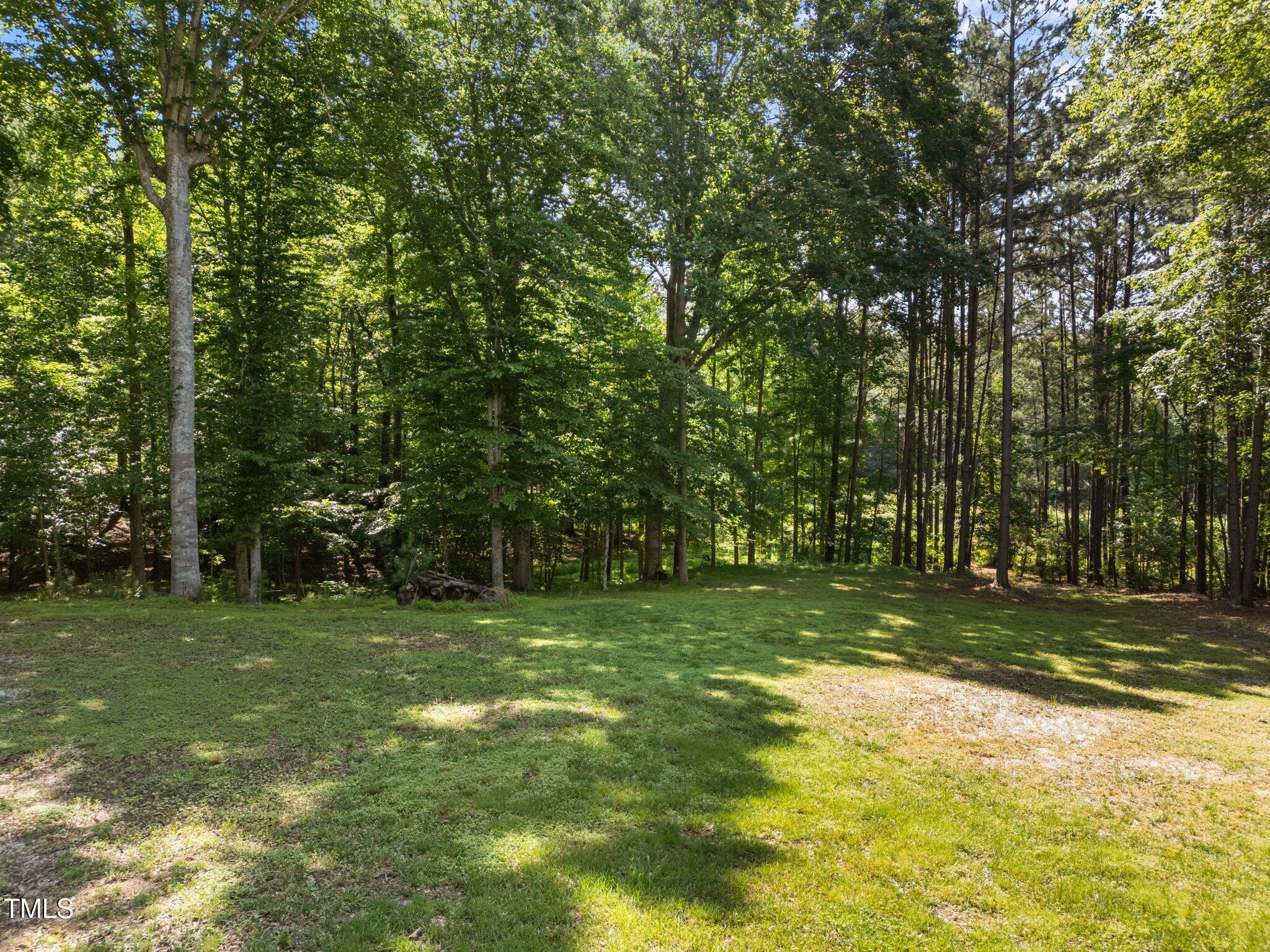 7000 Millstone Ridge Court Raleigh, NC 27614 - Photo 56 of 70 a view of a tree in a yard