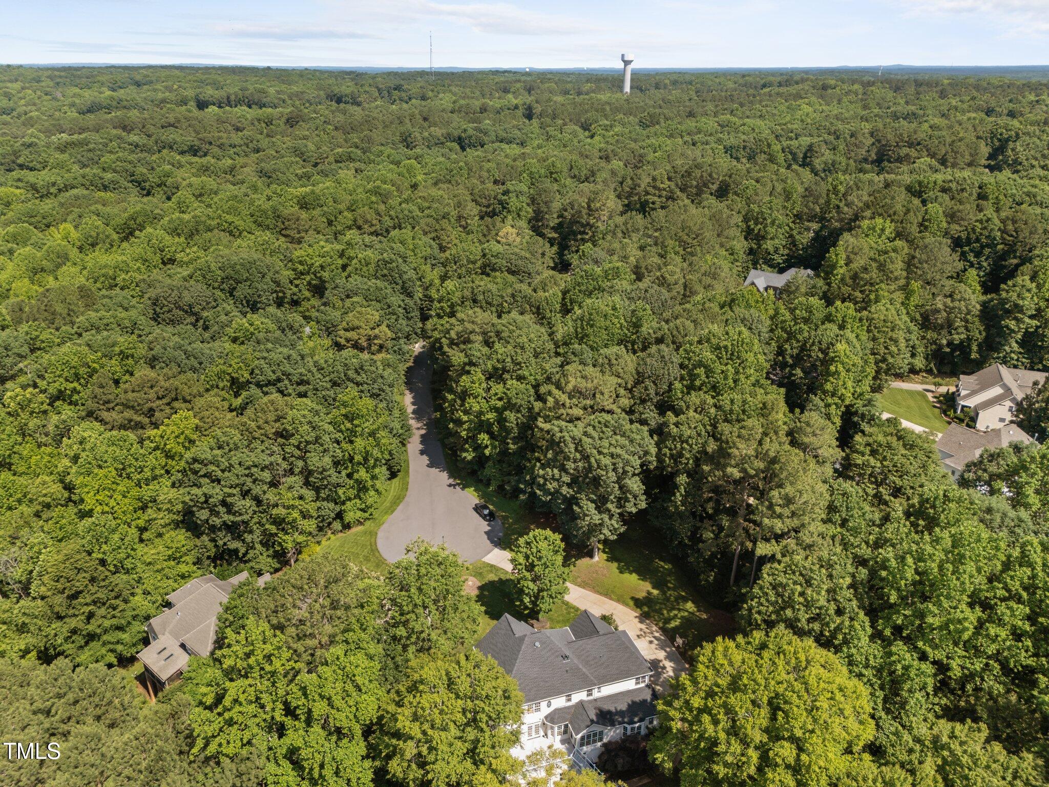 7000 Millstone Ridge Court Raleigh, NC 27614 - Photo 58 of 70 a view of a forest with a street