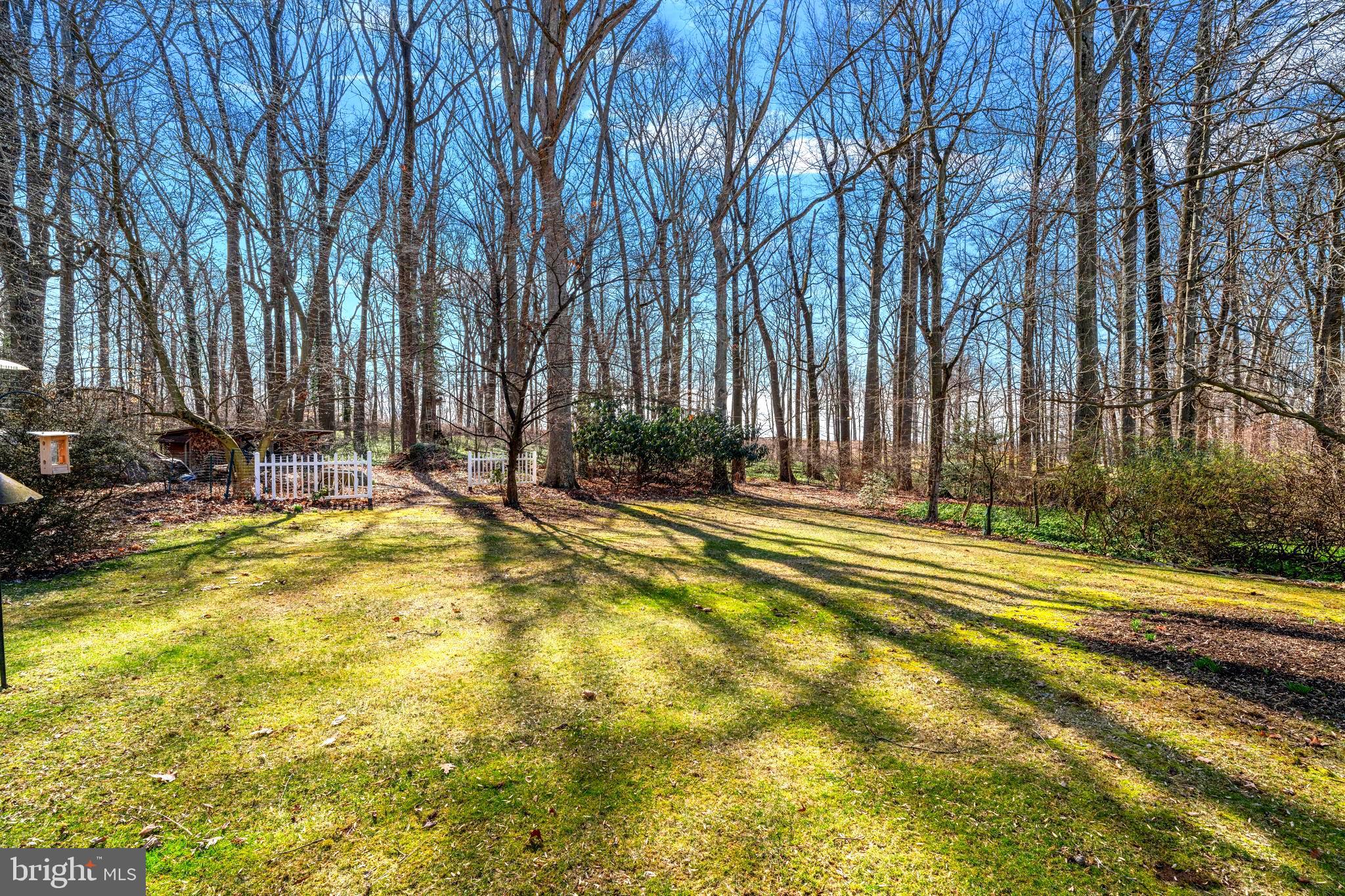 272 Brae Bourn Road Huntingdon Valley, PA 19006 - Photo 7 of 40 Back yard