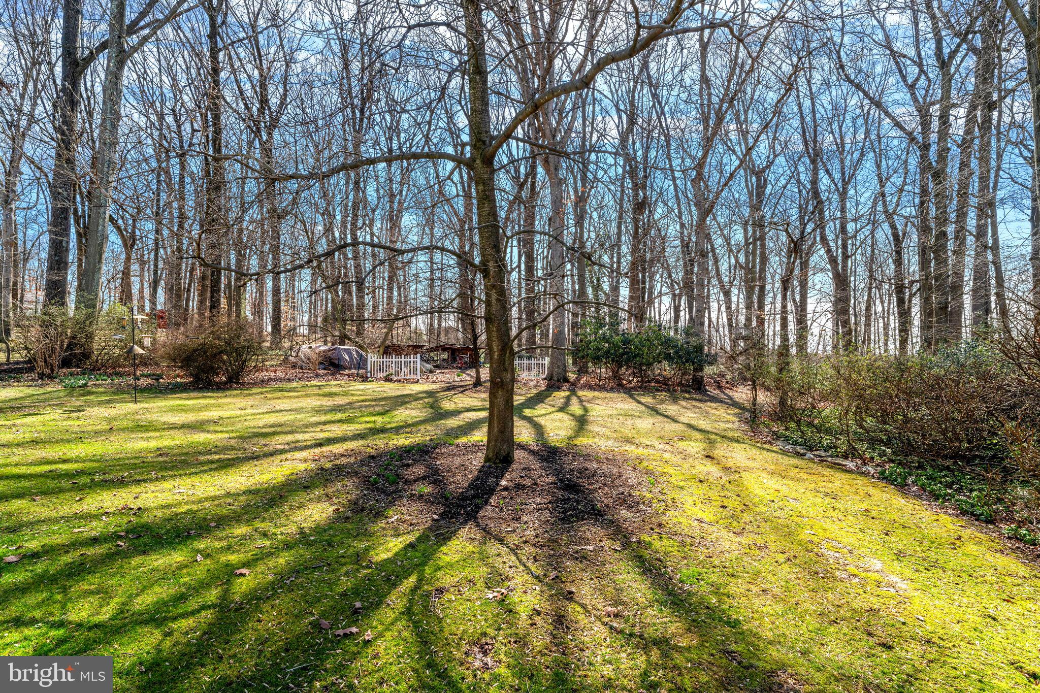 272 Brae Bourn Road Huntingdon Valley, PA 19006 - Photo 8 of 40 Back yard
