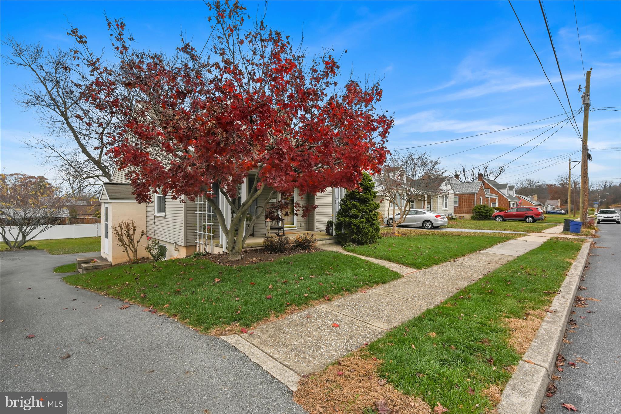 223 Lemon Street Elizabethtown, PA 17022 - Photo 3 of 31 a view of a park with large trees