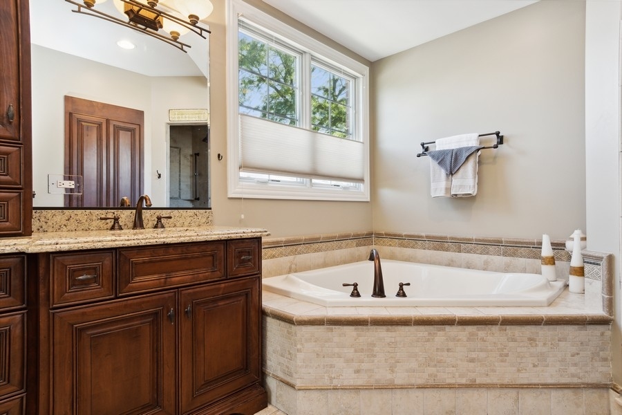 4050 Douglas Road Downers Grove, IL 60515 - Photo 27 of 60 a bathroom with a bathtub and a sink
