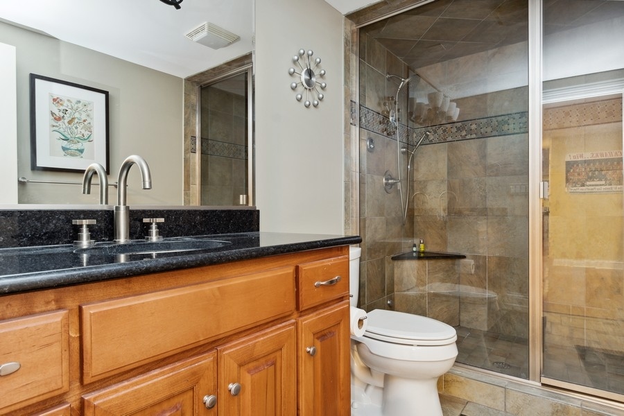 4050 Douglas Road Downers Grove, IL 60515 - Photo 39 of 60 a bathroom with a sink a toilet and shower