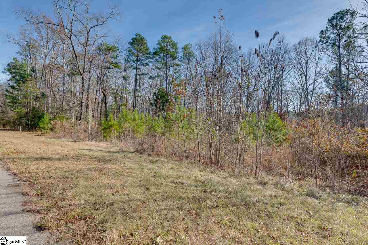 513 Terrapin Pointe Road Hodges, SC 29653 - Photo 5 of 17