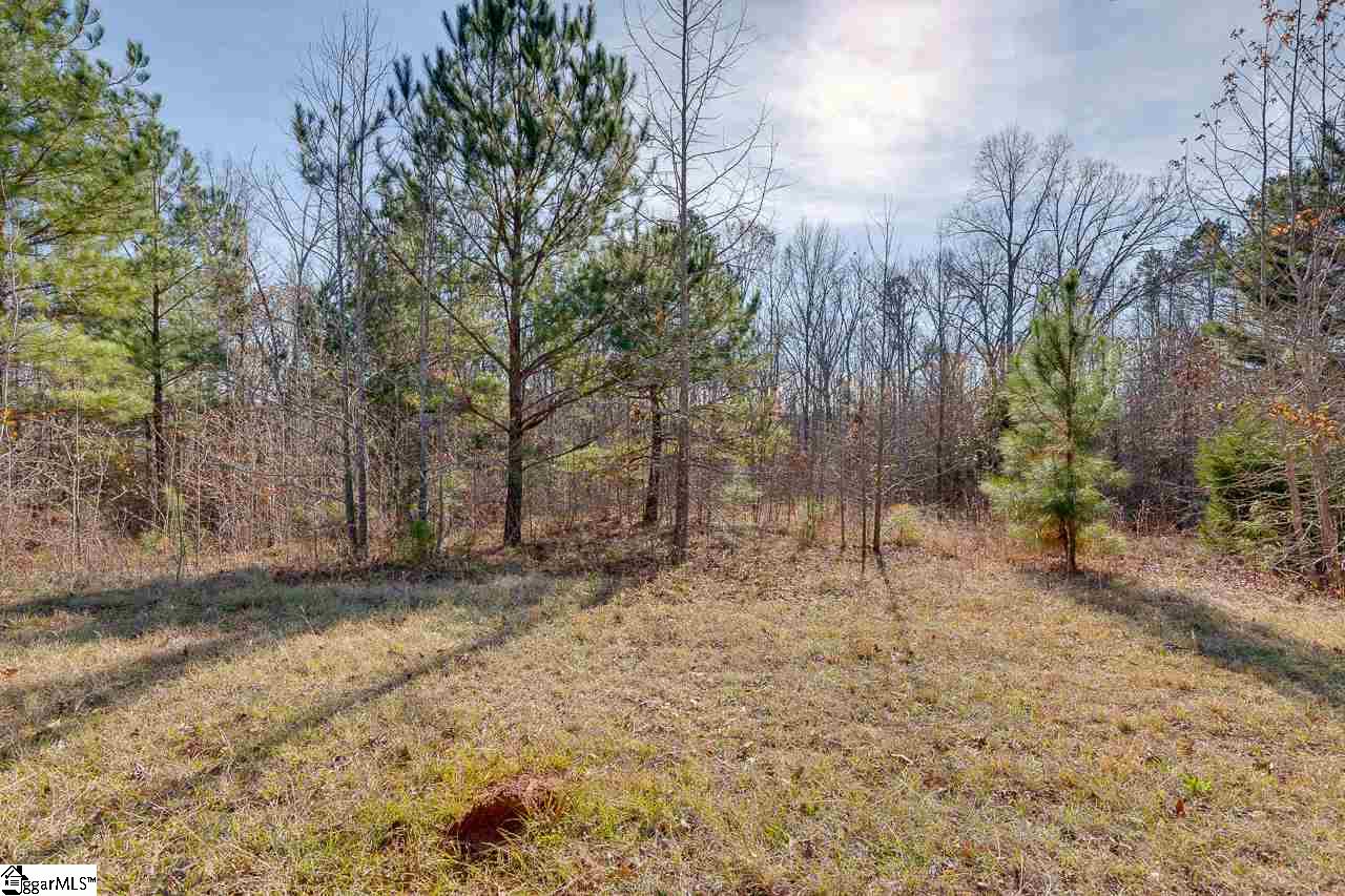 513 Terrapin Pointe Road Hodges, SC 29653 - Photo 7 of 17