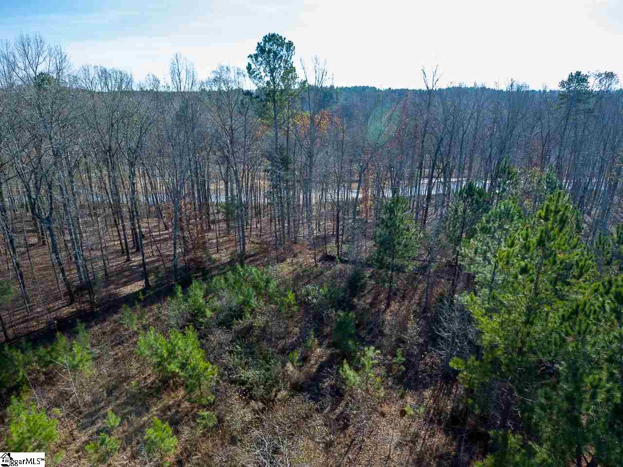 513 Terrapin Pointe Road Hodges, SC 29653 - Photo 10 of 17