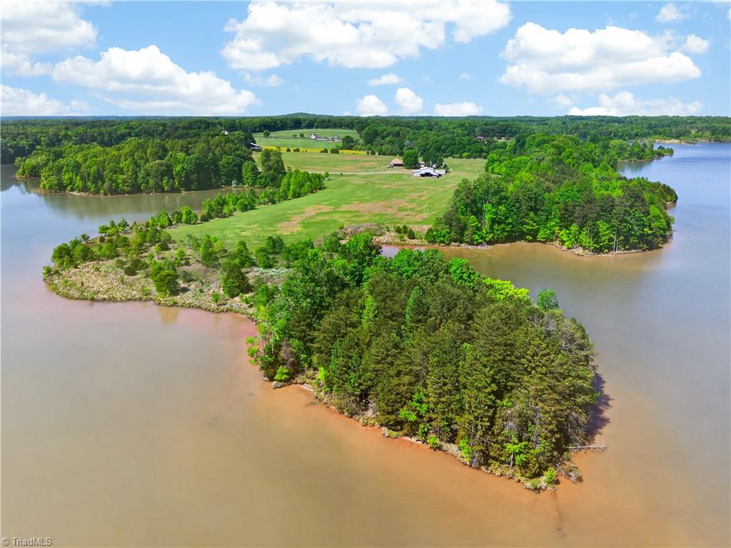 0 Walter Meadows Road Randleman, NC 27317 - Photo 3 of 15