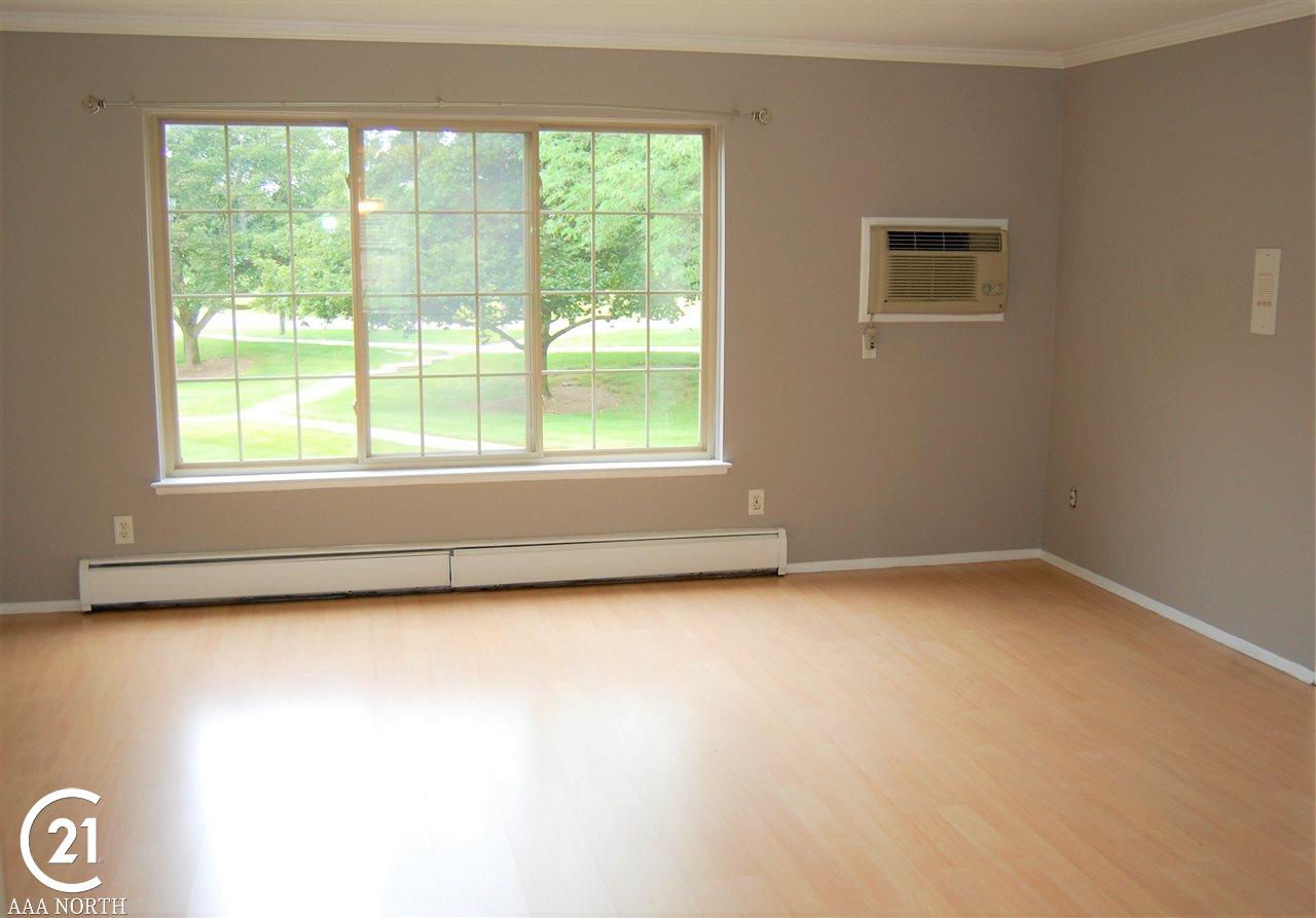 500 Romeo Road, Unit 112 Rochester, MI 48307 - Photo 2 of 9