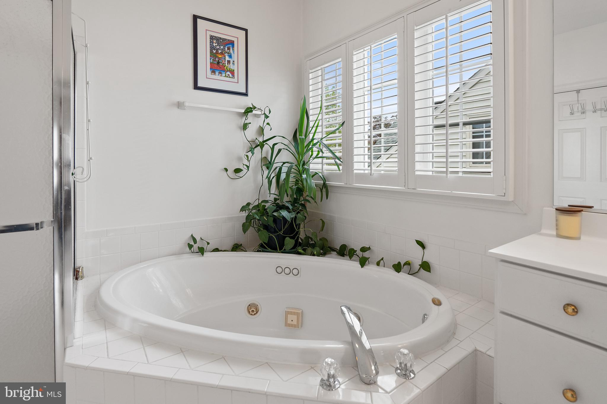 14417 Clubhouse Road Gainesville, VA 20155 - Photo 33 of 67 Jacuzzi tub