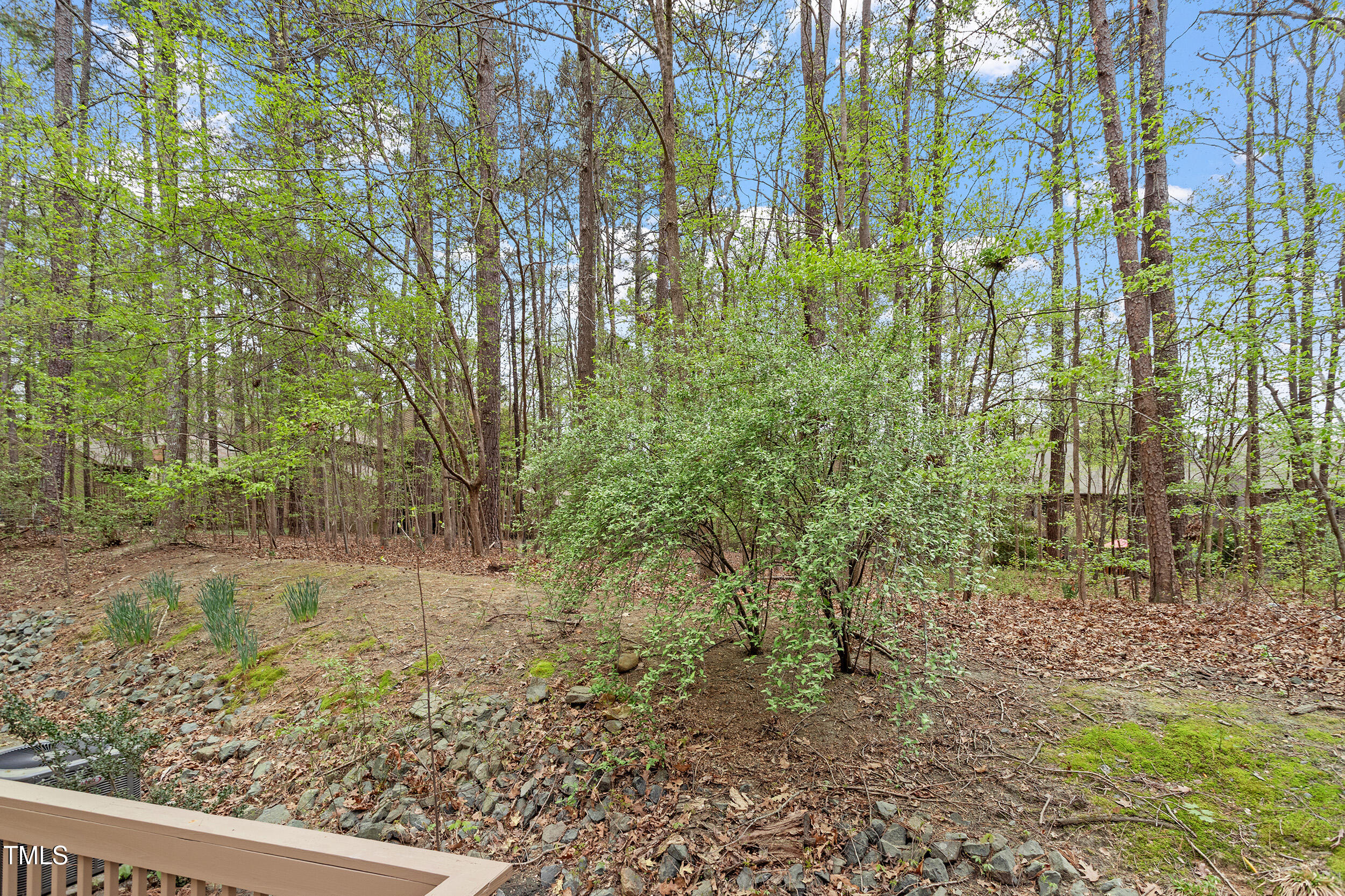 58 Stoneridge Road Durham, NC 27705 - Photo 37 of 38 a view of a yard with plants and trees