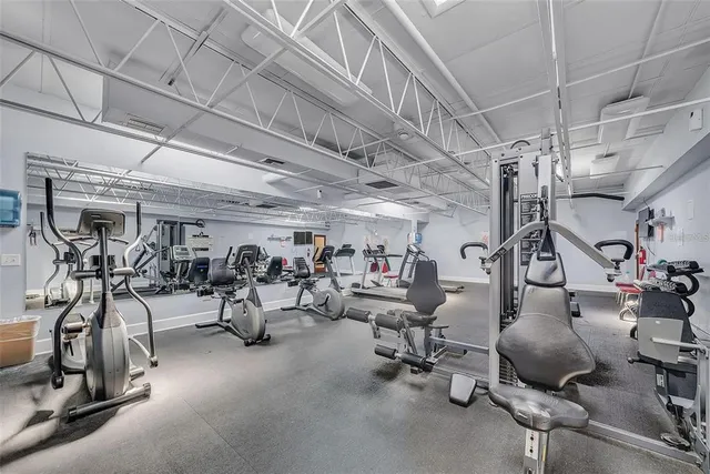 a view of a garden and plants