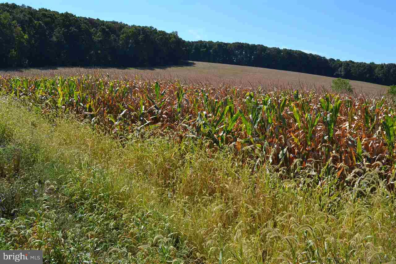 1 Chestnut Grove Road Spring Grove, PA 17362 - Photo 2 of 5