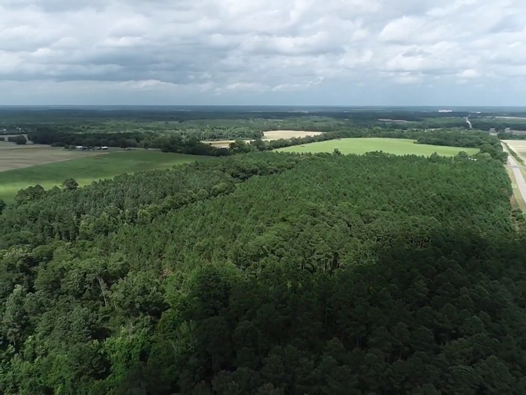 75/ Nuclear Plant Road Columbia, AL 36319 - Photo 26 of 34