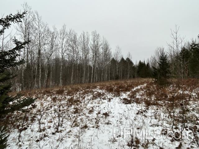 Tbd5 Larson Road Atlantic Mine, MI 49905 - Photo 4 of 56 Gallery Image 4
