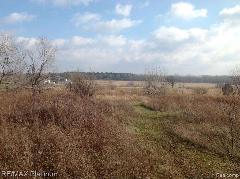 13065 South New Lothrop Road Byron, MI 48418 - Photo 1 of 5 View from Property looking East