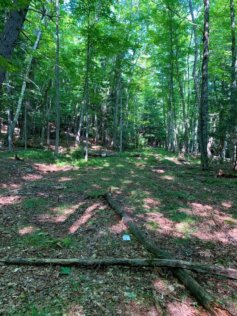 30 Maple Hill Road Saranac Lake, NY 12983 - Photo 17 of 27 Gallery Image 17