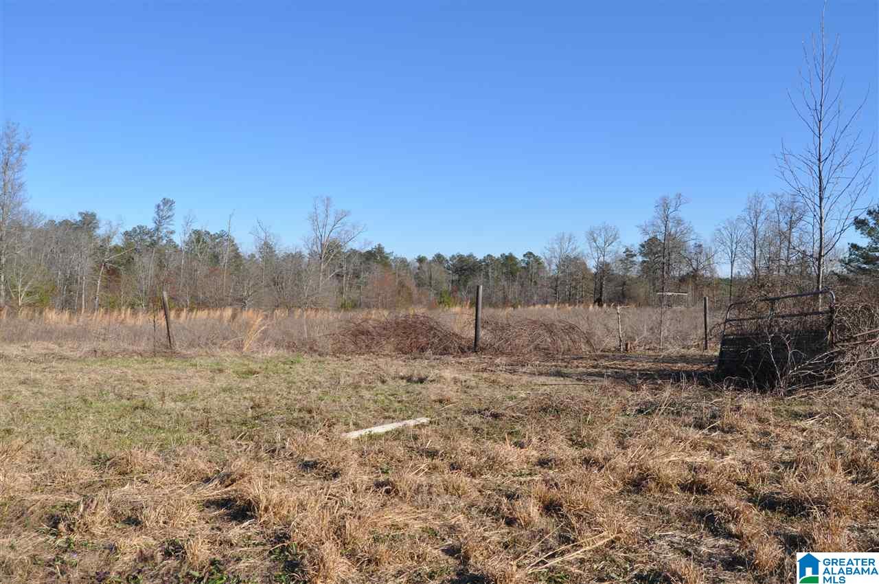 990 Thompson Road Ohatchee, AL 36271 - Photo 37 of 38 Gallery Image 37