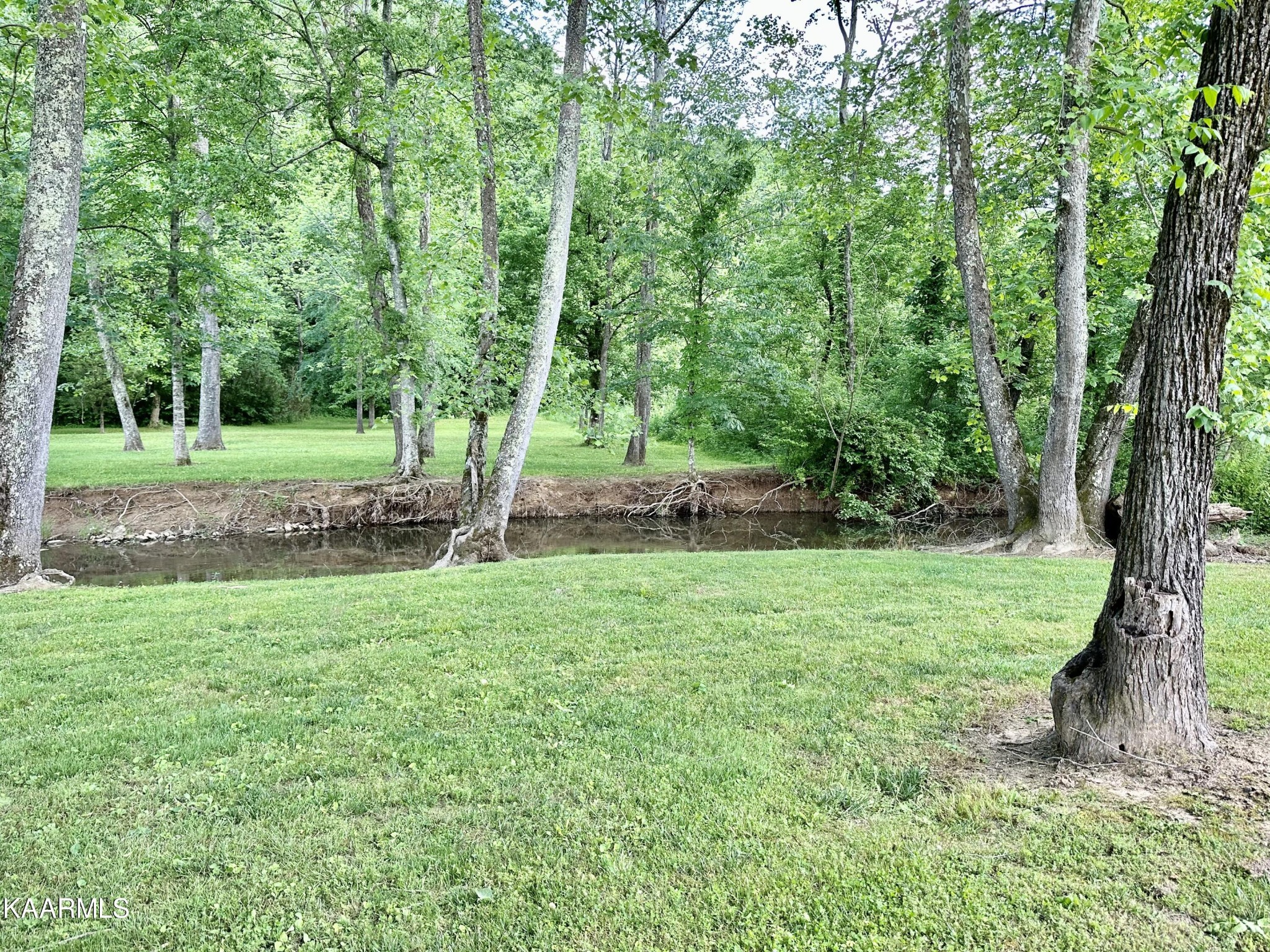 1267 Laurel Bluff Road Kingston, TN 37763 - Photo 24 of 33 Gallery Image 24