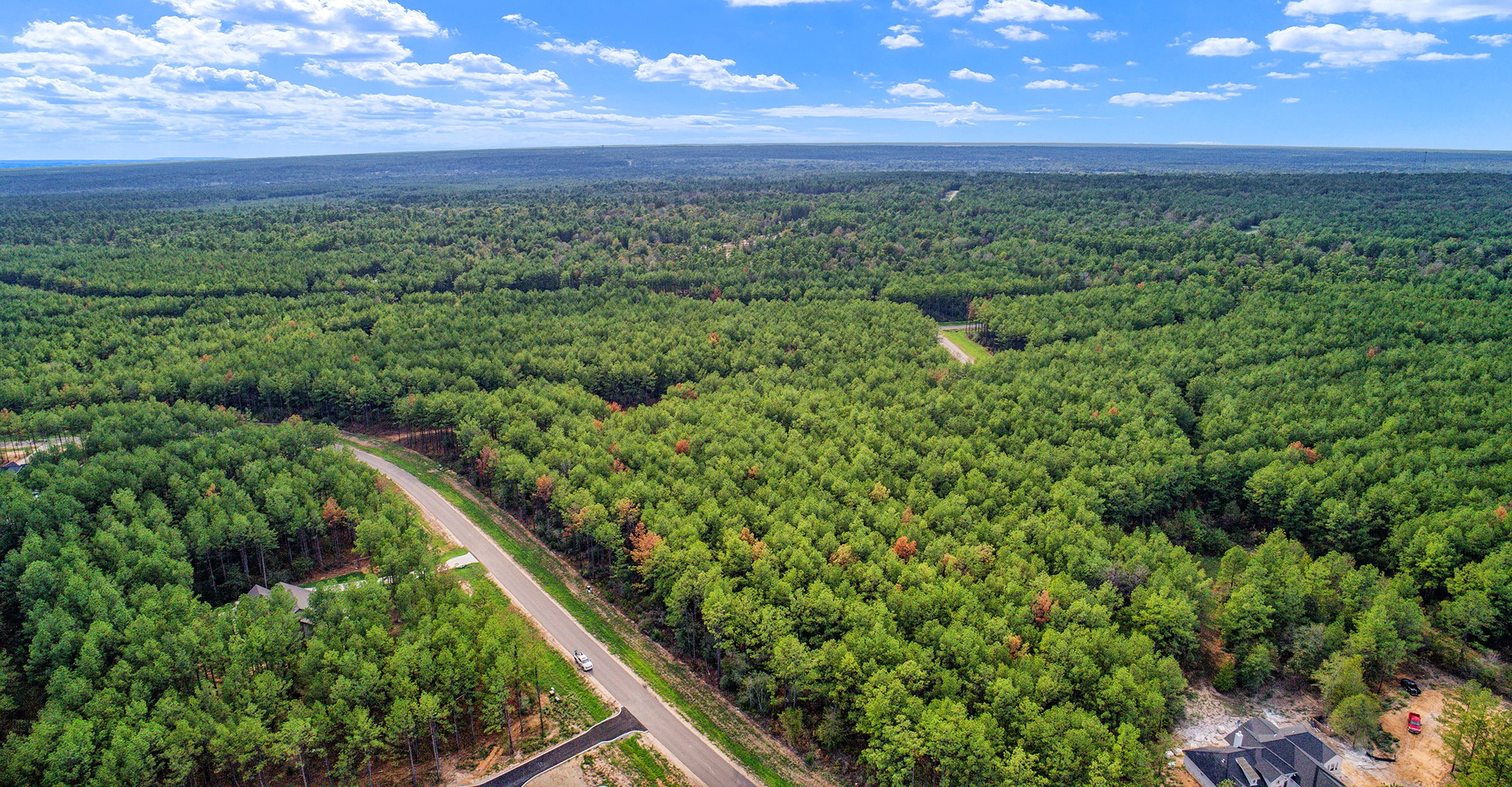 10886 Ruger Road Willis, TX 77378 - Photo 12 of 25 a view of a green field with lots of bushes