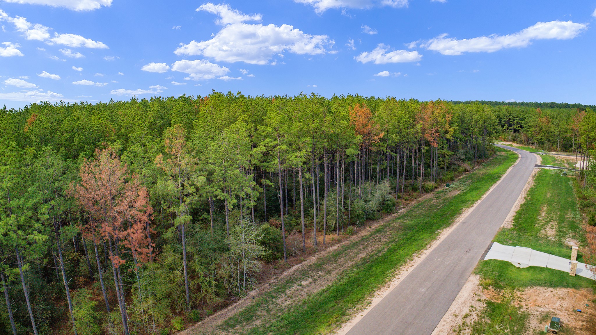 10886 Ruger Road Willis, TX 77378 - Photo 21 of 25 a view of a lake with a yard