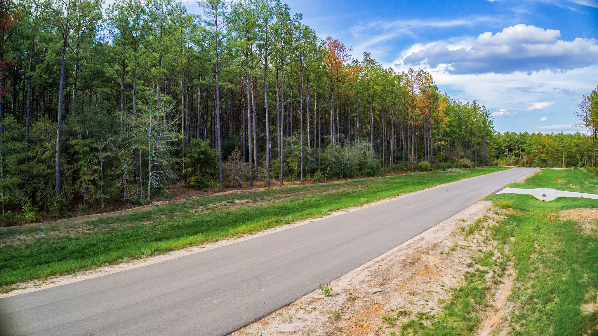 10886 Ruger Road Willis, TX 77378 - Photo 22 of 25 a view of a park with large trees and a houses
