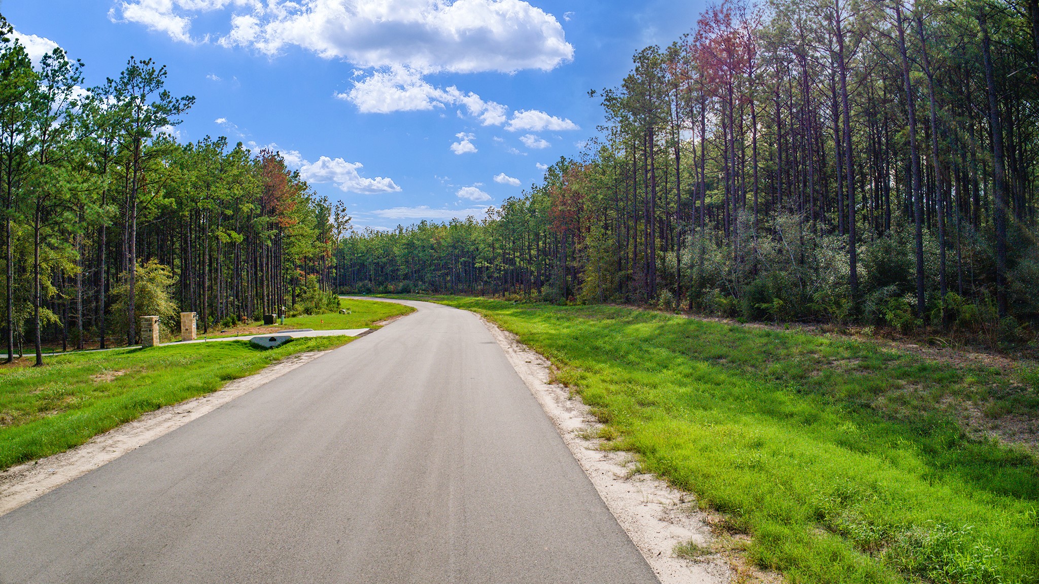10886 Ruger Road Willis, TX 77378 - Photo 23 of 25 a view of a park with large trees