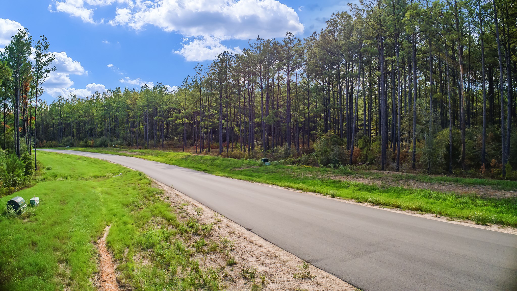 10886 Ruger Road Willis, TX 77378 - Photo 24 of 25 a view of a park with large trees