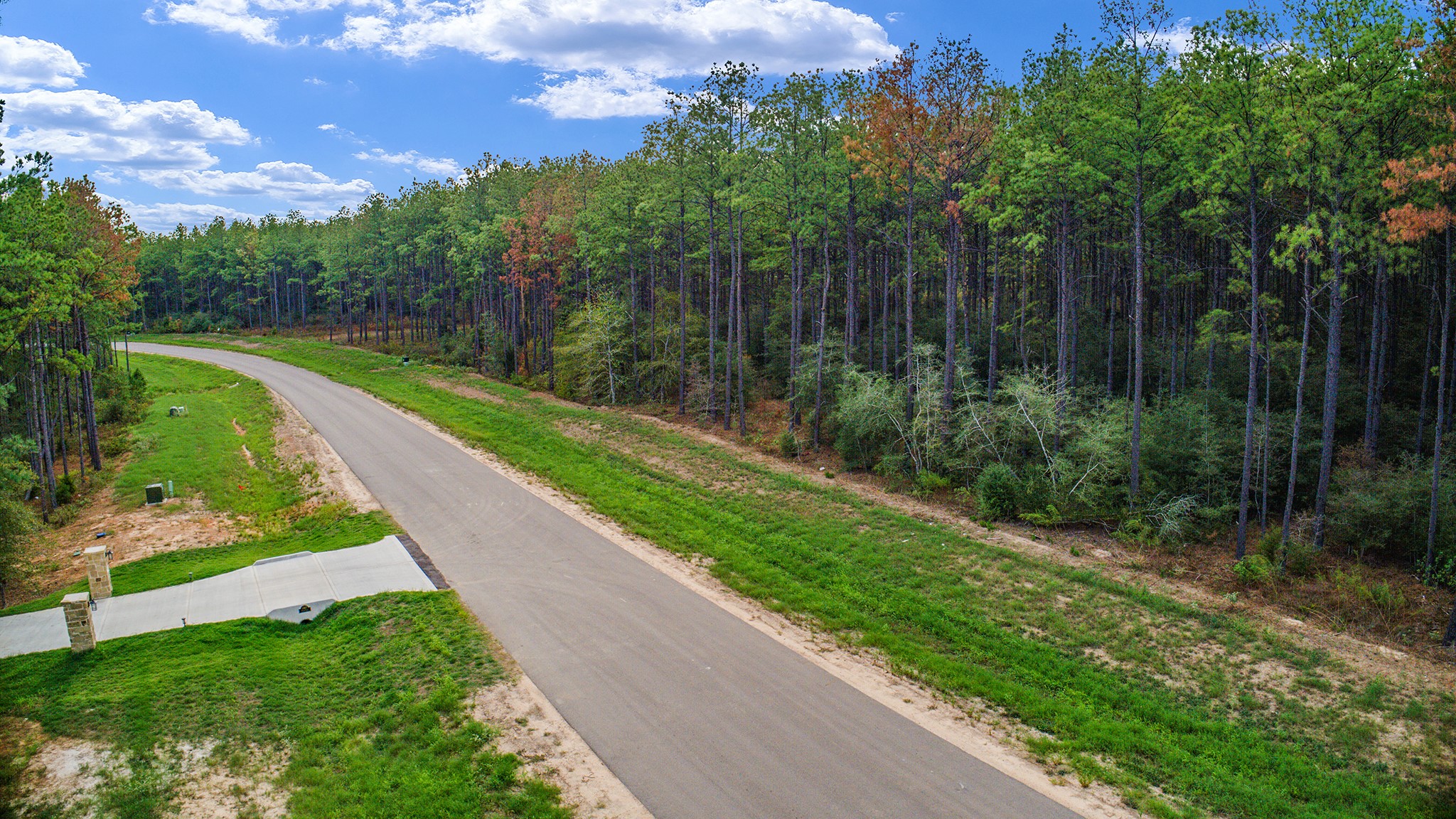 10886 Ruger Road Willis, TX 77378 - Photo 5 of 25 a view of a garden with a building in the background