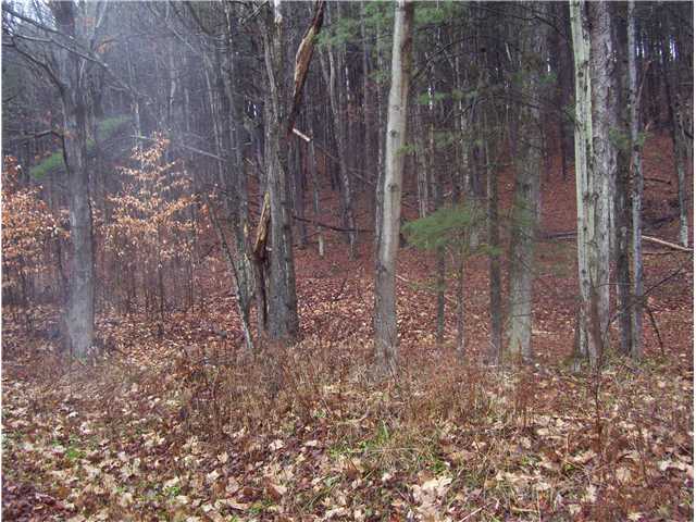 1299 Hogback Road Baldwin, NY 14861 - Photo 1 of 11 Land