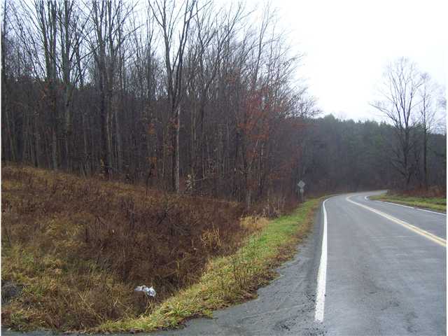 1299 Hogback Road Baldwin, NY 14861 - Photo 2 of 11 Land