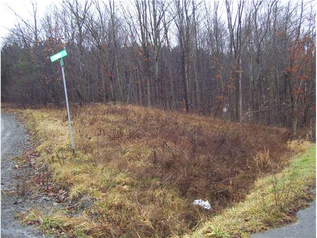 1299 Hogback Road Baldwin, NY 14861 - Photo 3 of 11 Land
