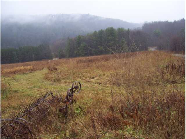 1299 Hogback Road Baldwin, NY 14861 - Photo 7 of 11 Land