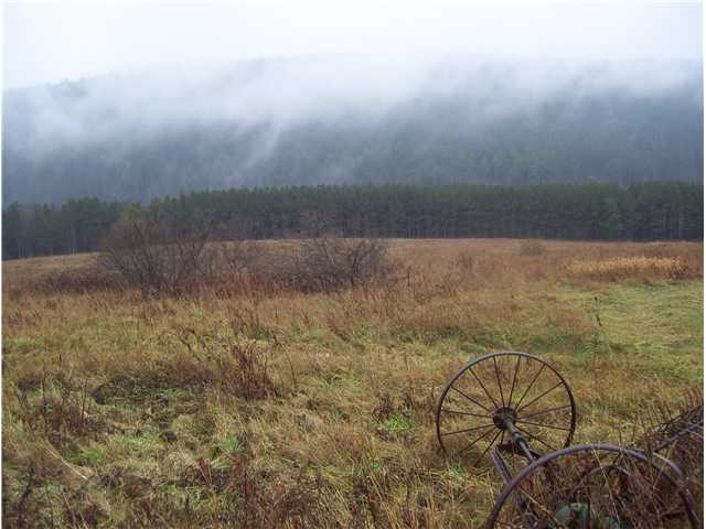 1299 Hogback Road Baldwin, NY 14861 - Photo 8 of 11 Land