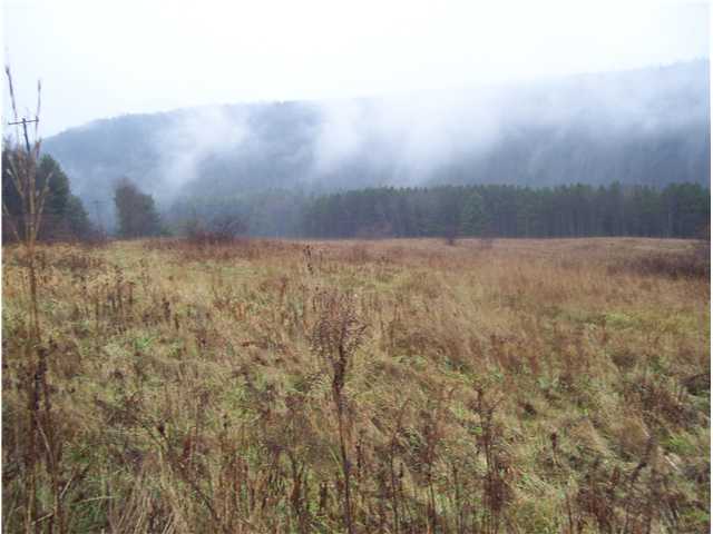 1299 Hogback Road Baldwin, NY 14861 - Photo 9 of 11 Land