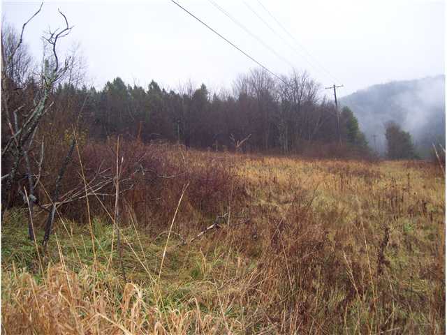 1299 Hogback Road Baldwin, NY 14861 - Photo 10 of 11 Land
