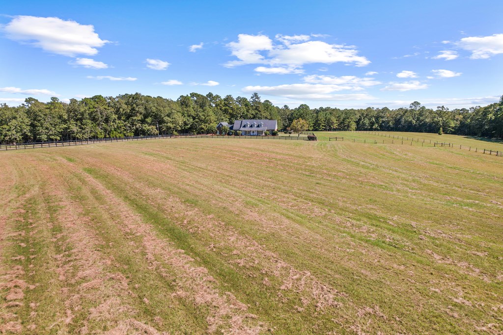 1690 Benton Store Road Columbia, AL 36319 - Photo 3 of 46